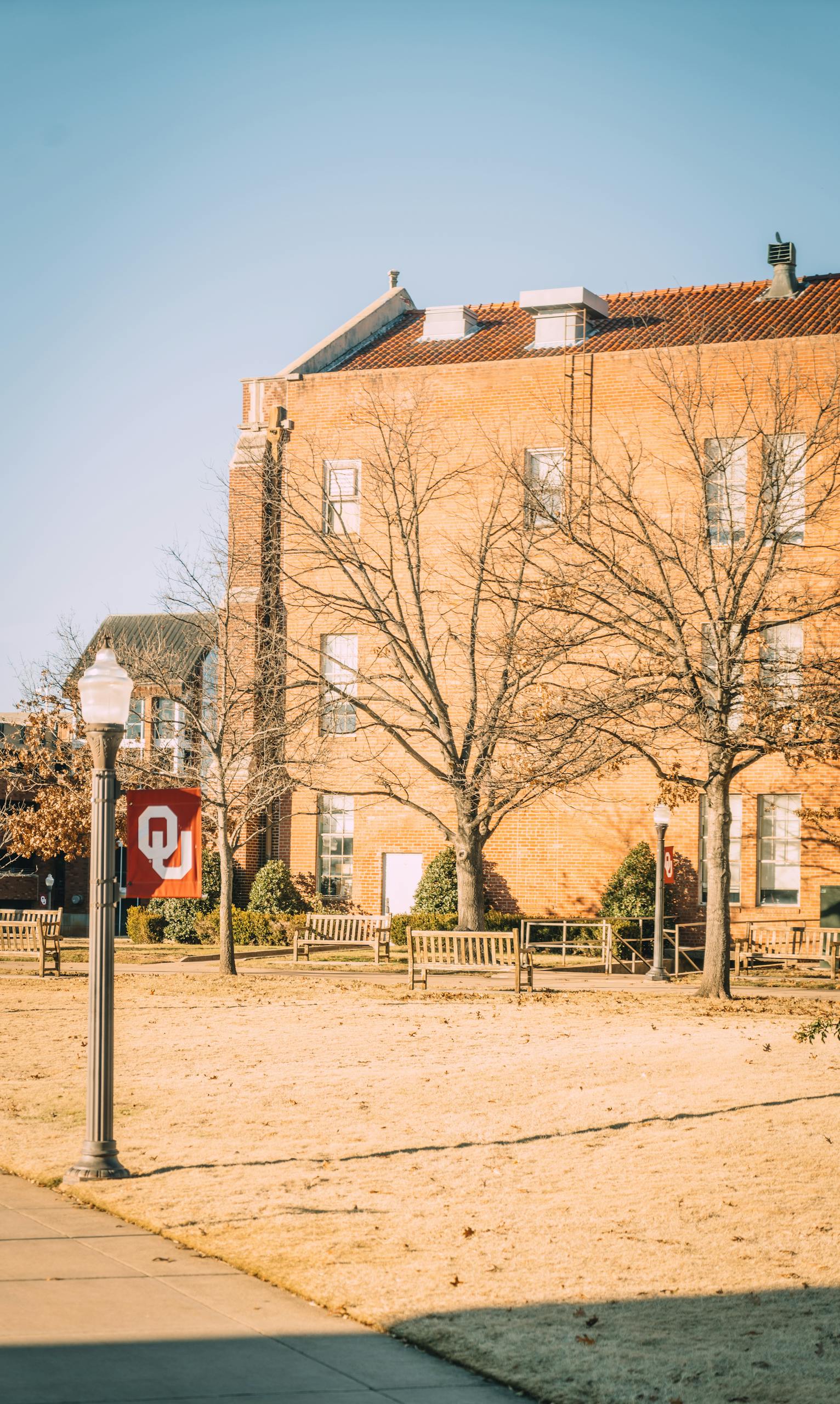 Sunlit view of a college campus with brick building, streetlamp, and trees.
